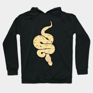 Banana Ball Python Cute Snake Noodle Hoodie